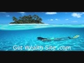 Internet Business Success Plan {internet home business opportunity}