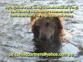 My Dog ??is sick Pluto has chronic ear infection NEED FINANCIAL ASSISTANCE FOR TREATMENT