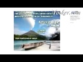 Danone Activia Social Media Case Study  2012  internet search engine optimisation freelance work