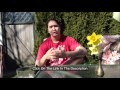 How To Start a Home Based Business Ideas Opportunities From Home Woman Men  Visalus Review
